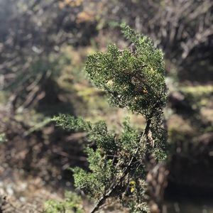 Meet your Posher, Gage